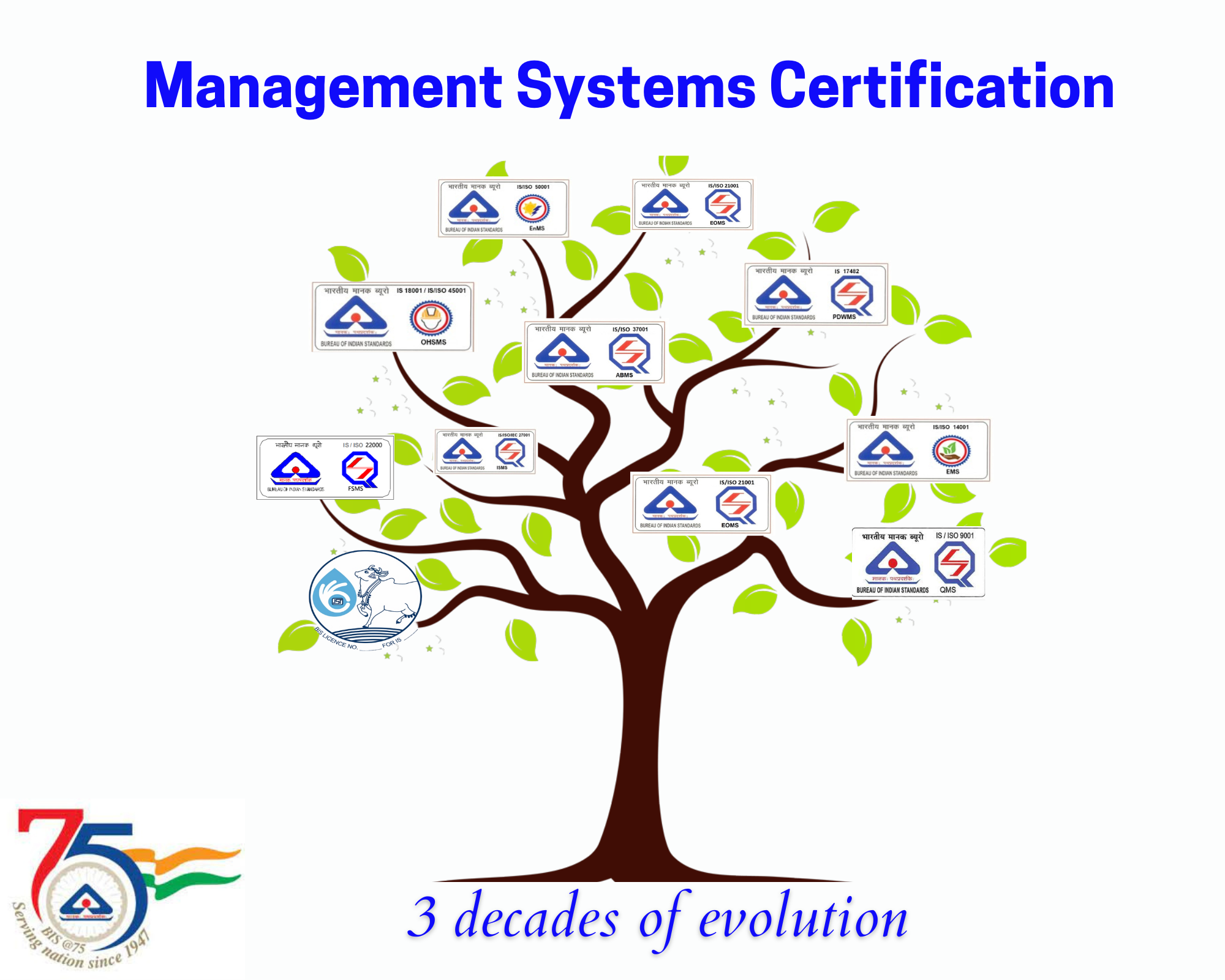 Changing Face Of Mangement Systems Certification From Bis Perspective Bis